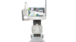 Untitled design (7) (1)