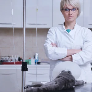 Veterinary Science