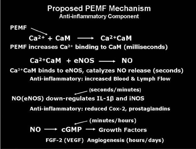 دستگاه مگنت تراپی PEMF در کلینیک فیزیوتراپی اثرات امواج الکترومغناطیس پالسی در فیزیوتراپی
